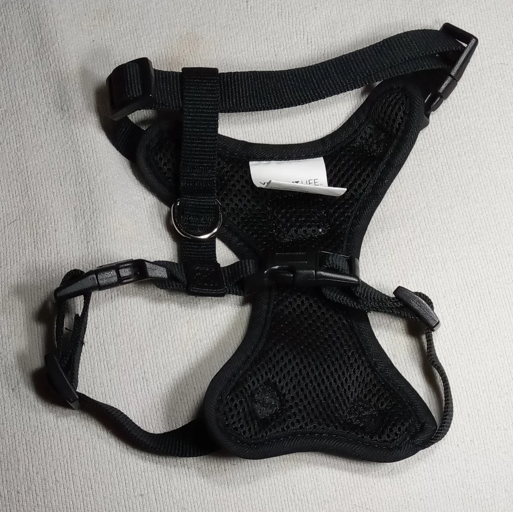 Vibrant Life Dog Leash and Harness Sz Small
